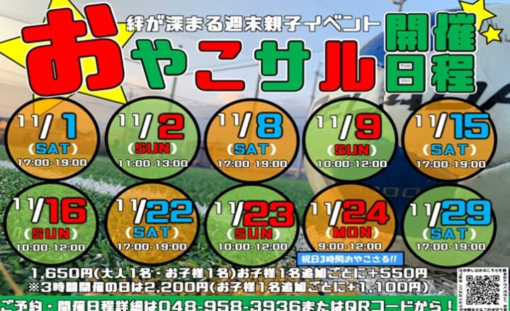 おやこサル11月日程 HP