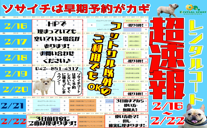【新着情報】コートレンタル≪超・速報‼≫＆土日(全日)or平日(ナイター)定期利用チーム・スクール大募集中！！